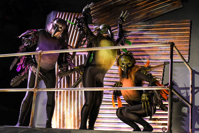 crows-06-750-410x273