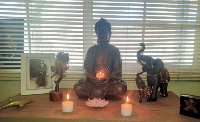 The Gospel According to Diva Rita: A Dark Comedy on the Edge of Dharma